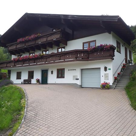 Ferienwohnung Wieser Reizegg 7, 5652 Dienten Дінтен-ам-Гохкеніг Екстер'єр фото